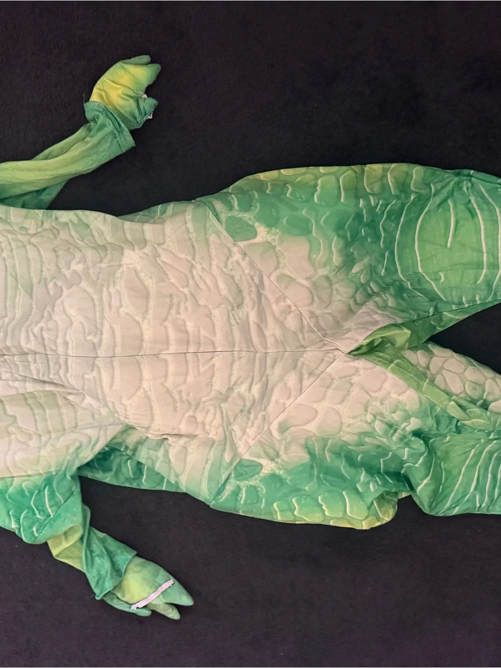 Toy Story Rex Costume Kids 7/8